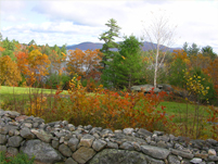 Squam Lake from Rt 113 - Fall